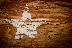 brown and white wooden star print board